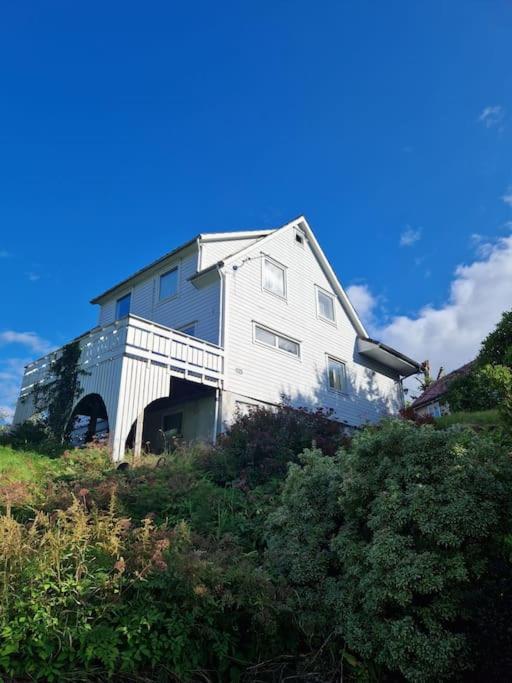 Villa Madsgard Etnesjoen Esterno foto